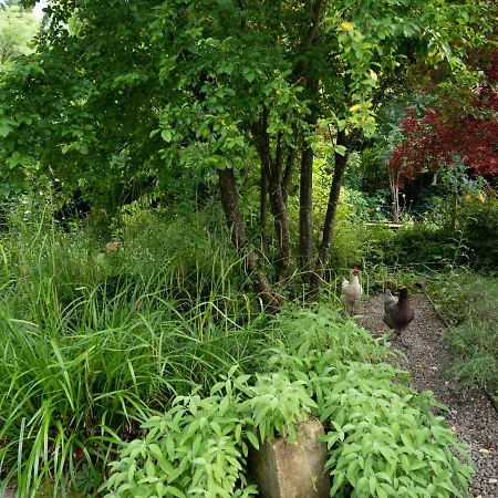 Appartement Pont Vieux Confolens