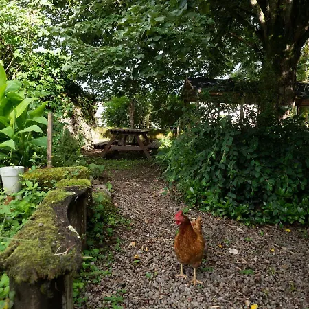 Pont Vieux Appartement