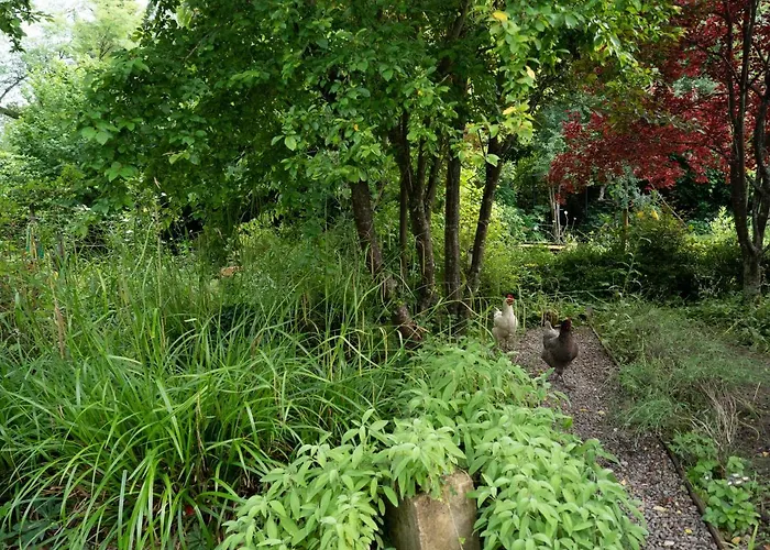 Apartment Pont Vieux Confolens