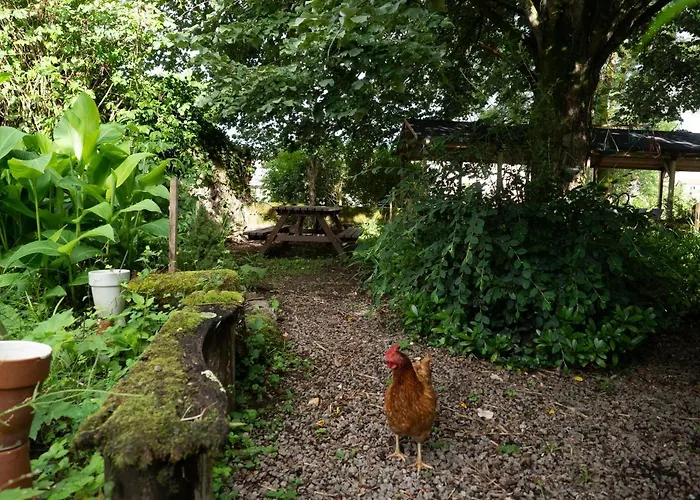 Pont Vieux Apartment